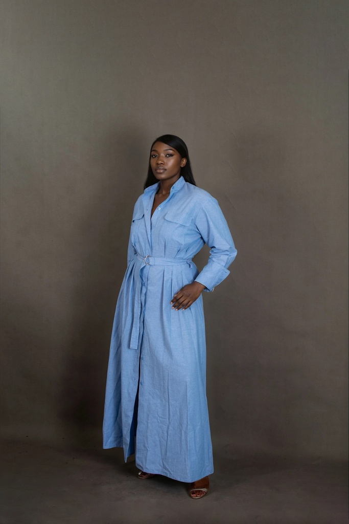 Meena Shirt Dress