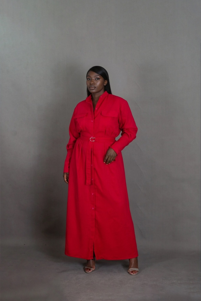 Meena Shirt Dress