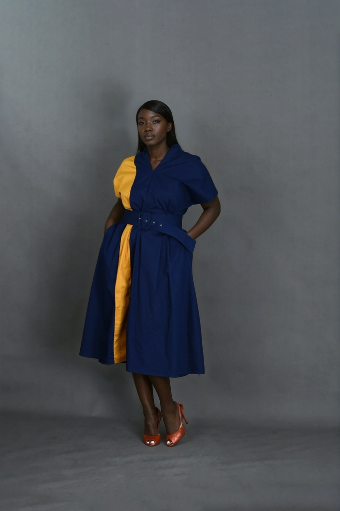 Saly Color Block  Dress