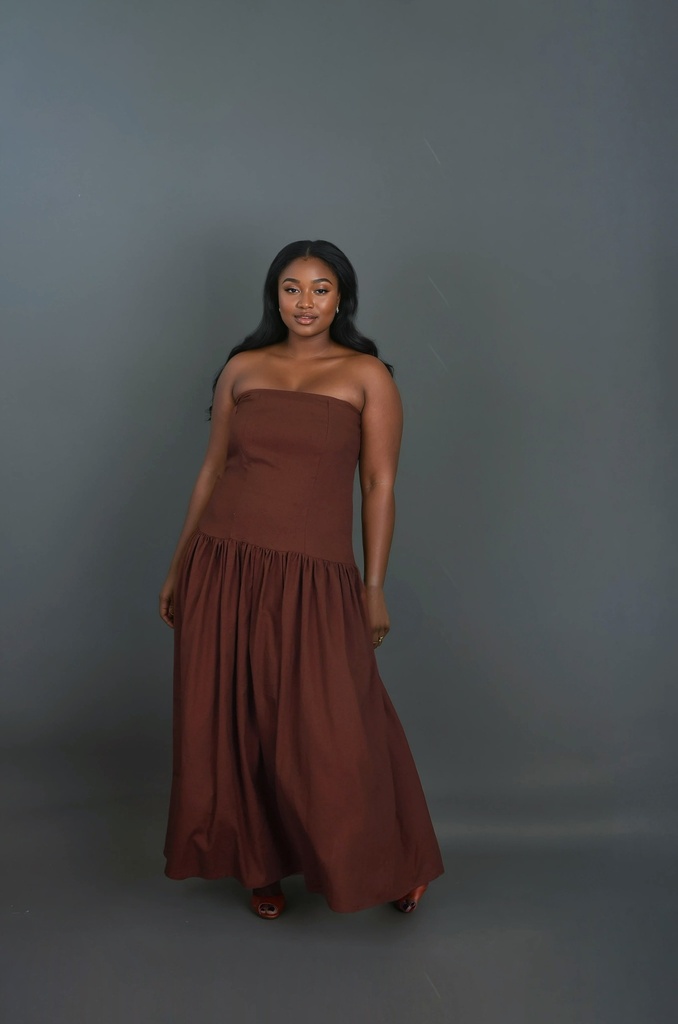 Nasara Strapless Dress