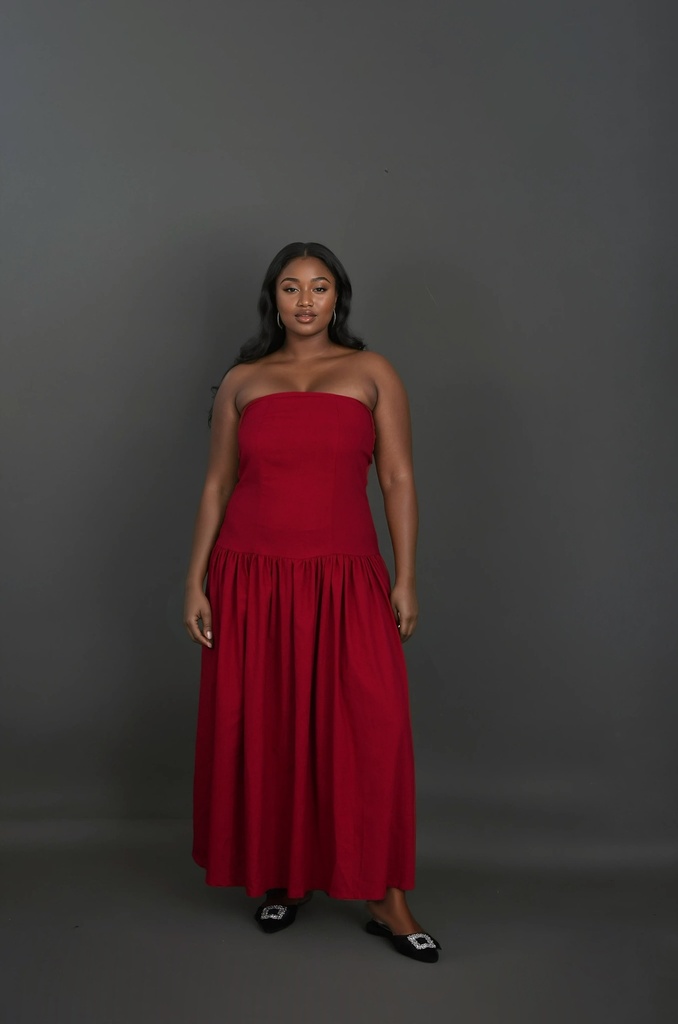 Nasara Strapless Dress