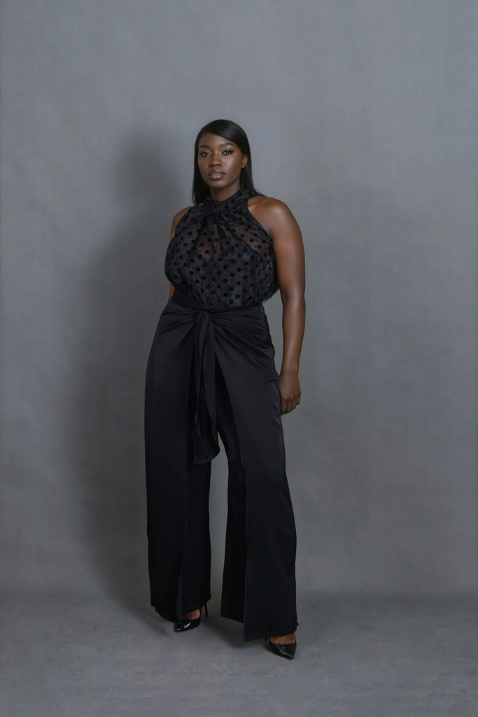 Elae Meena Organza Top