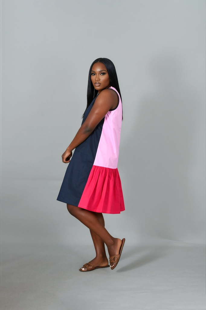 Ngwe Color Block Dress
